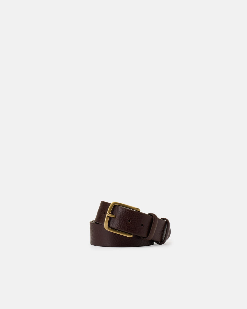 CASUAL BELT Dark brown  - Men Belts - Belts - Cuoieria Fiorentina